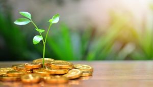 حکم شرعی صندوق سرمایه گذاری با درآمد ثابت